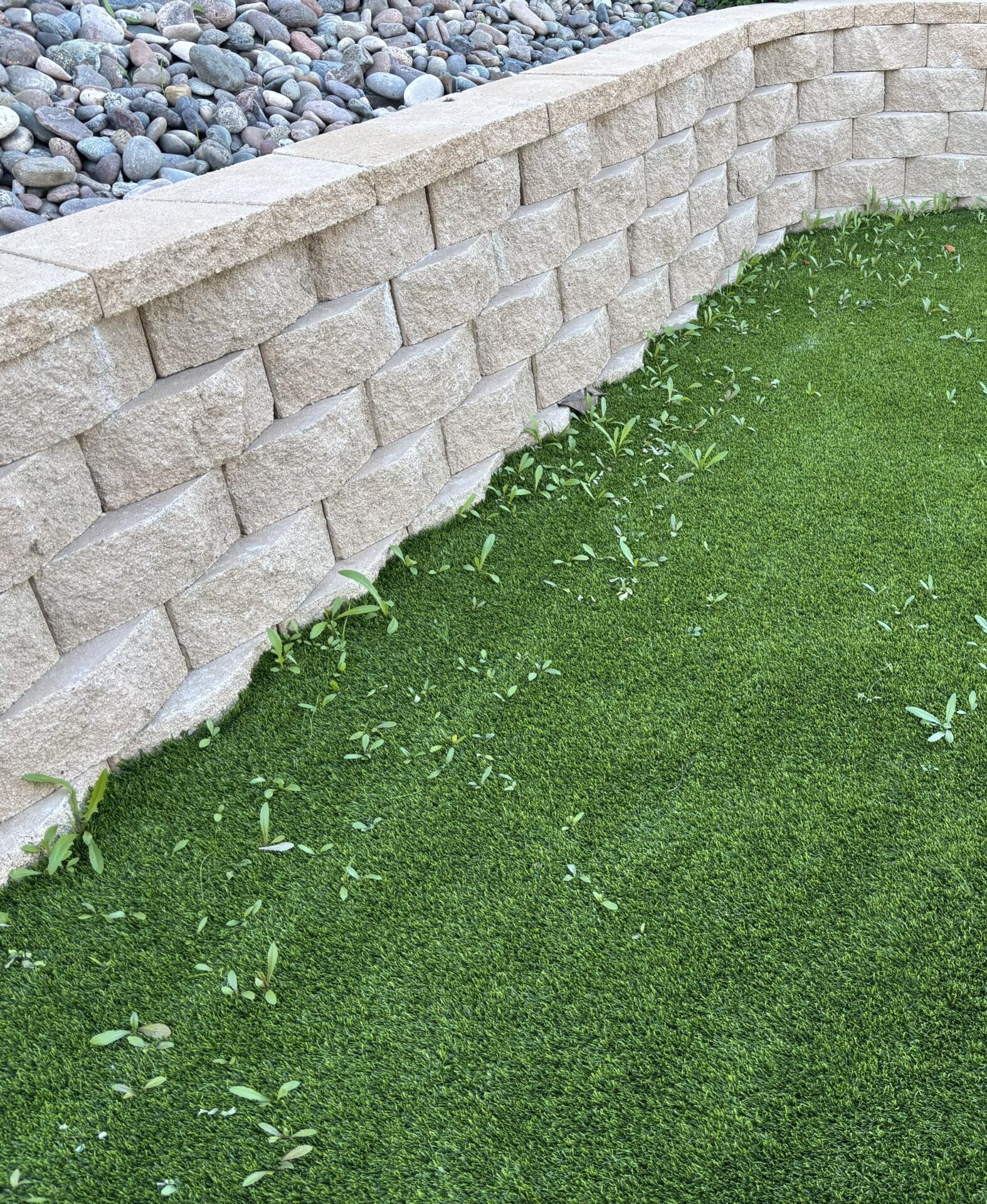 Artificial Grass Cleaning Before Gallery, Inland Empire Artificial Grass Cleaning, & Repairs