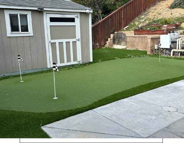 Artificial Grass Maintenance, Weed Removal, Before Gallery, Inland Empire Artificial Grass Cleaning, & Repairs