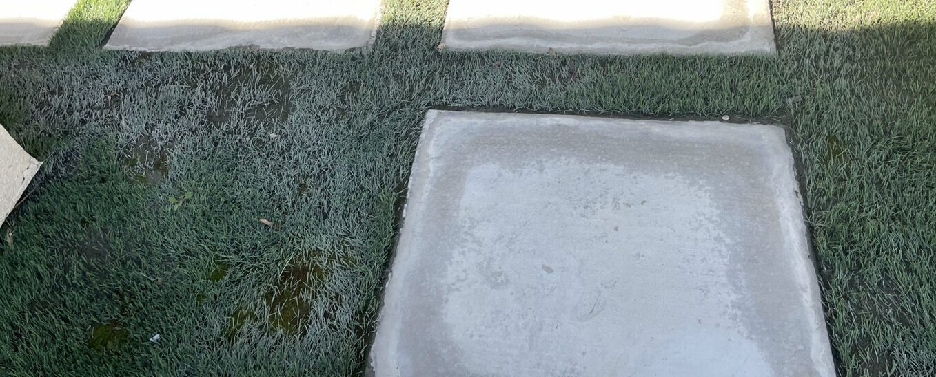 Deep Turf Cleaning Before Gallery, Inland Empire Artificial Grass Cleaning, & Repairs