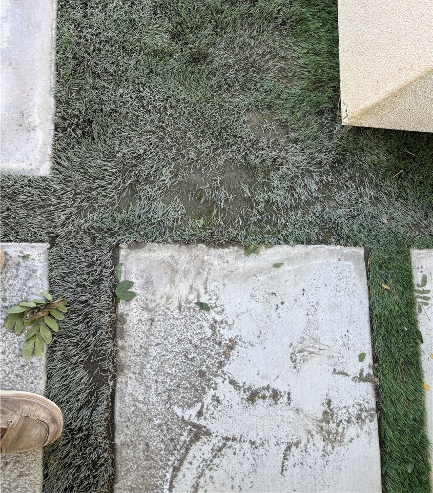 Deep Turf Cleaning – Before Gallery, Inland Empire Artificial Grass Cleaning, & Repairs