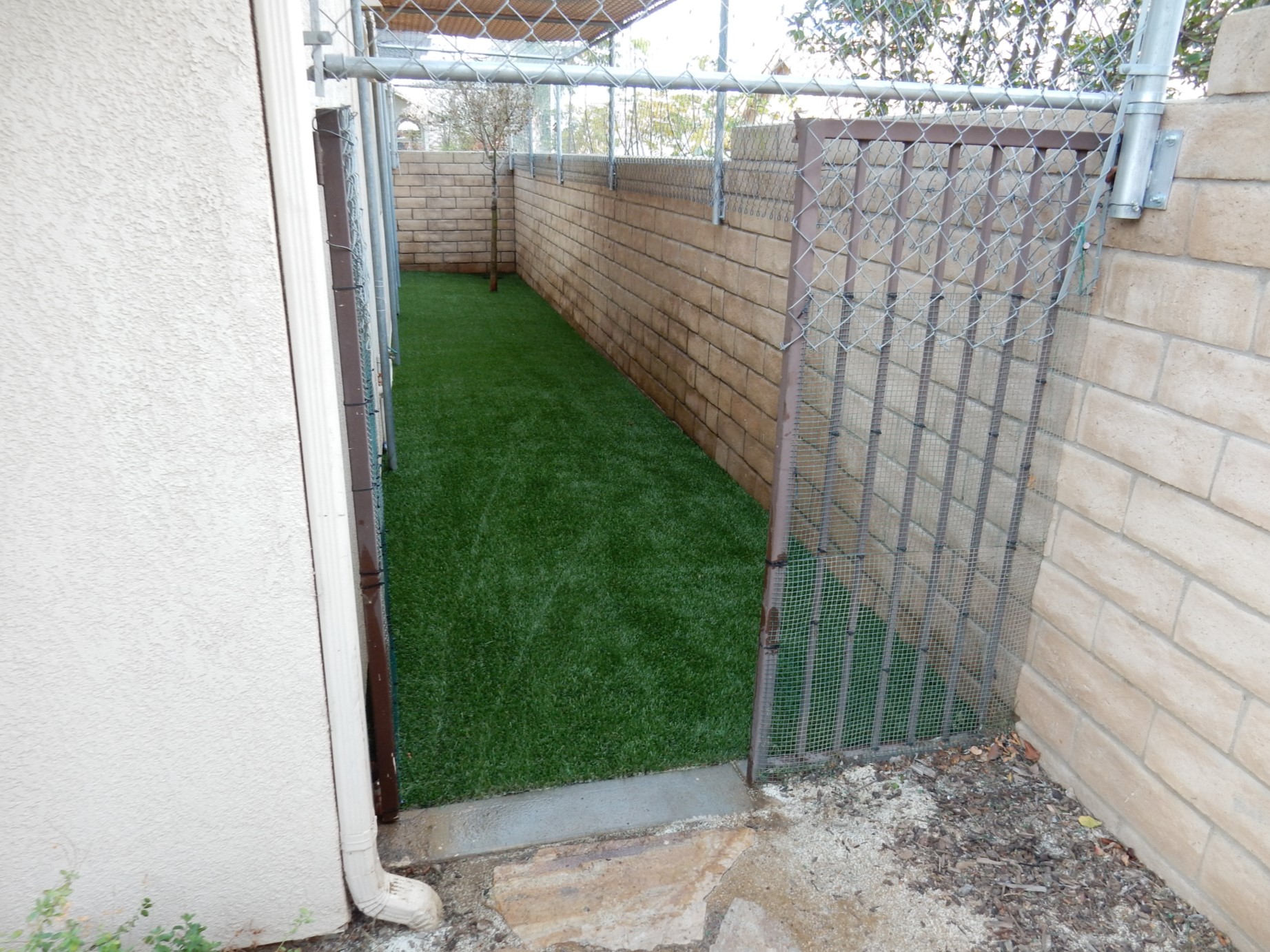 Dog Run – Corona After Gallery, Inland Empire Artificial Grass Cleaning, & Repairs