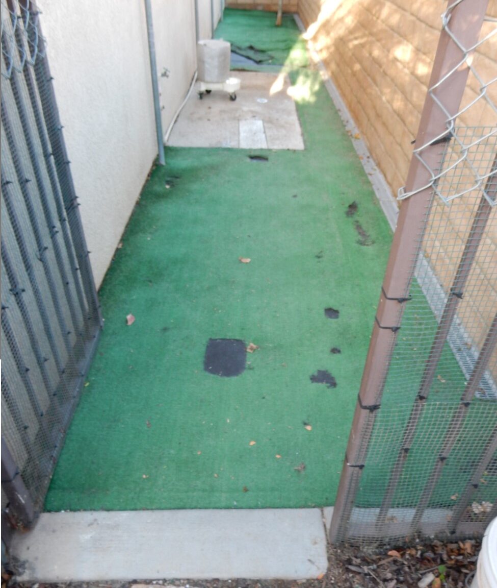 Dog Run – Corona Pet Odor Treatment, Inland Empire Artificial Grass Cleaning