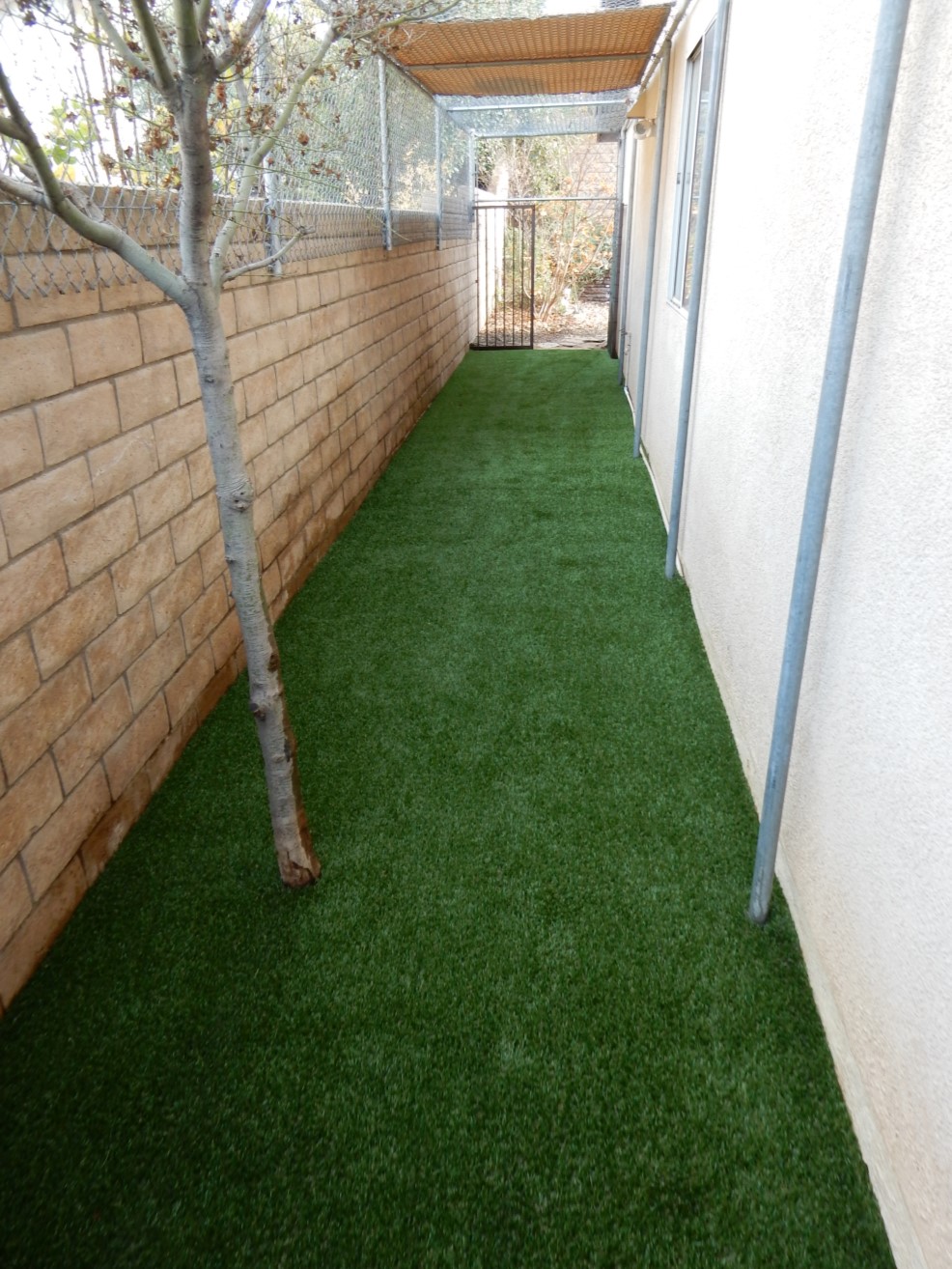 Dog Run Turf System – Corona After Pet Odor Treatment, Inland Empire Artificial Grass Cleaning