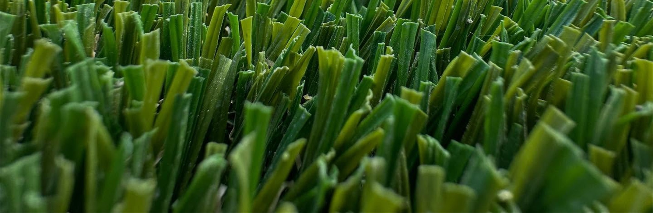 Emerald Ridge Close Up – job Emerald Ridge Artificial Grass, Inland Empire Artificial Turf Cleaning