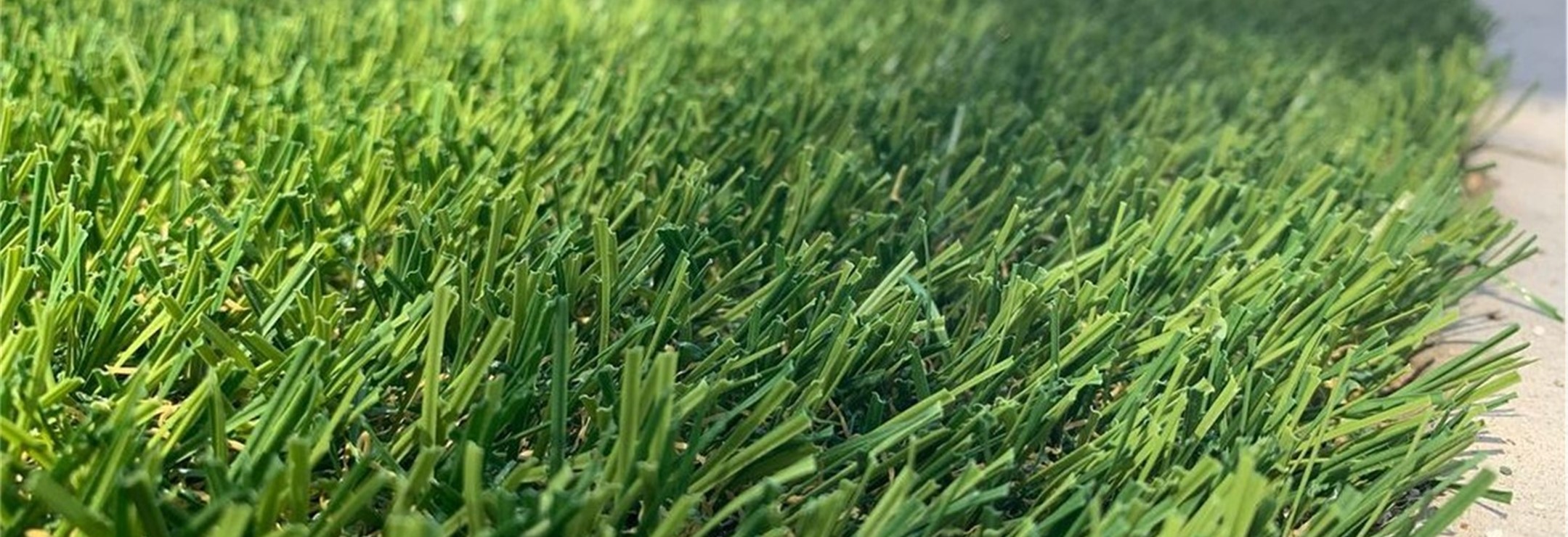 Evergreen Turf Close Up Evergreen Artificial Grass, Inland Empire Artificial Turf Cleaning