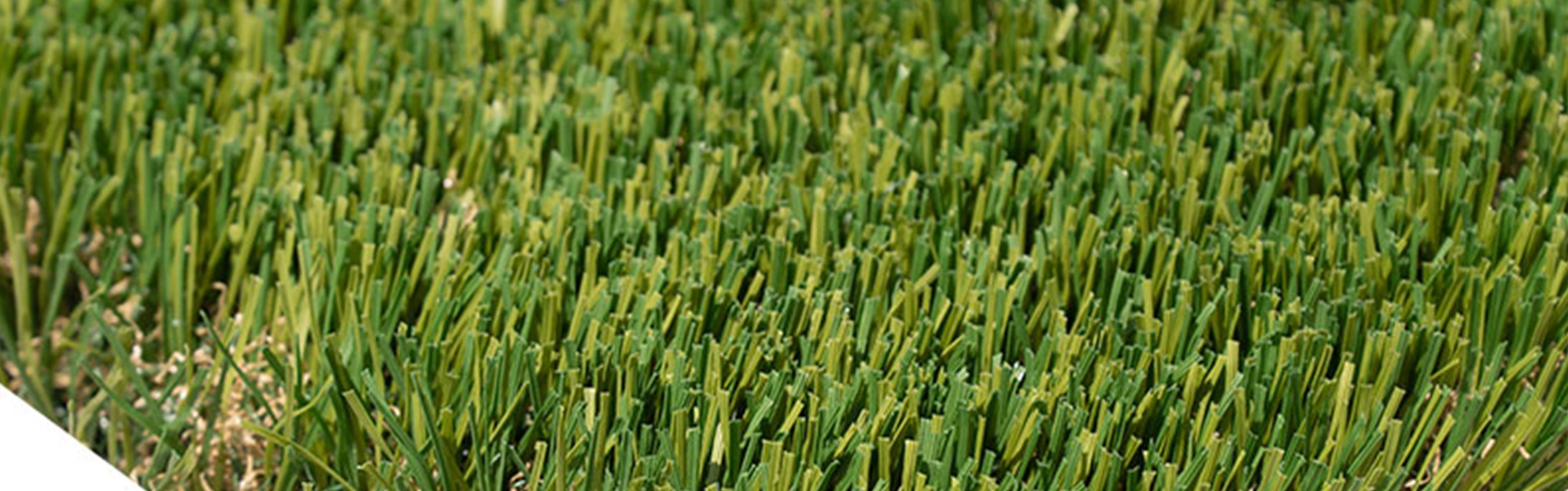 Oakmont Supreme Turf, Inland Empire Artificial Grass Cleaning