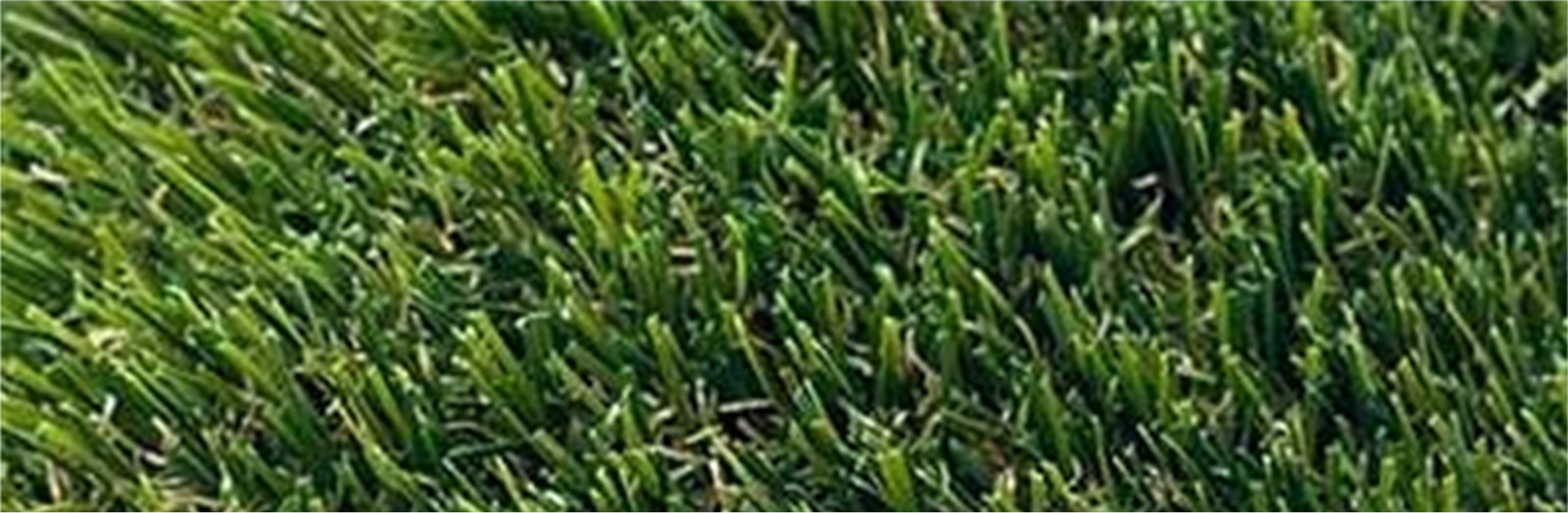 Pine Pro Artificial Grass, Inland Empire Artificial Turf Cleaning