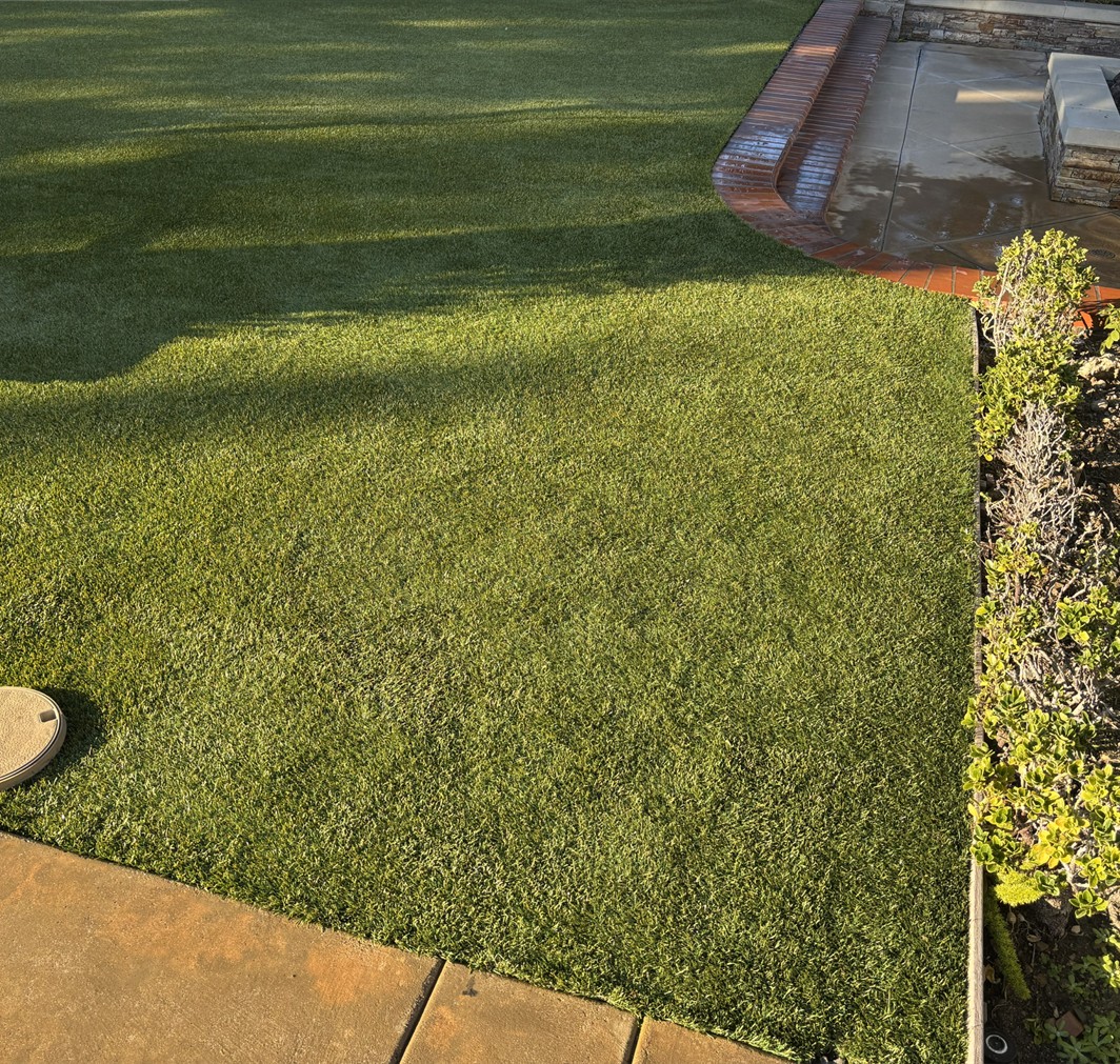 Root Removal After Artificial Grass Repairs, Inland Empire Artificial Grass Cleaning