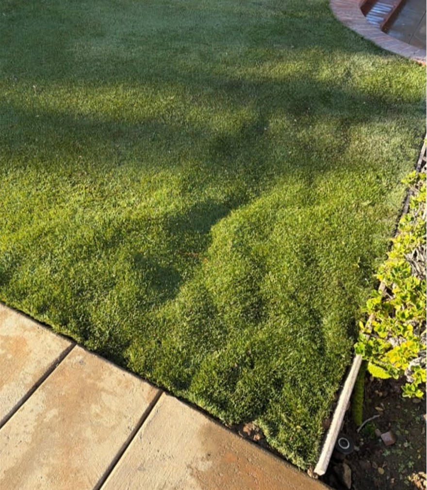 Root Removal Before Artificial Grass Cleaning, Maintenance, & Repairs