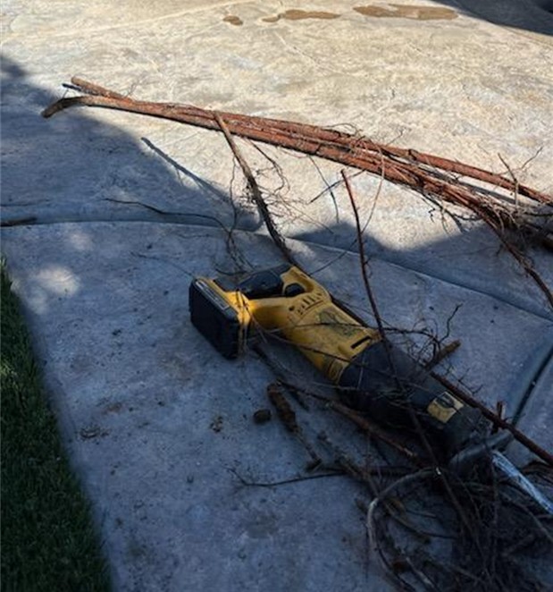 Roots Removal In Process, after Gallery, Inland Empire Artificial Grass Cleaning, & Repairs