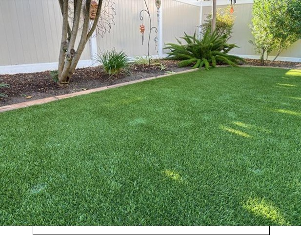 Roots Removal after Gallery, Inland Empire Artificial Grass Cleaning, & Repairs