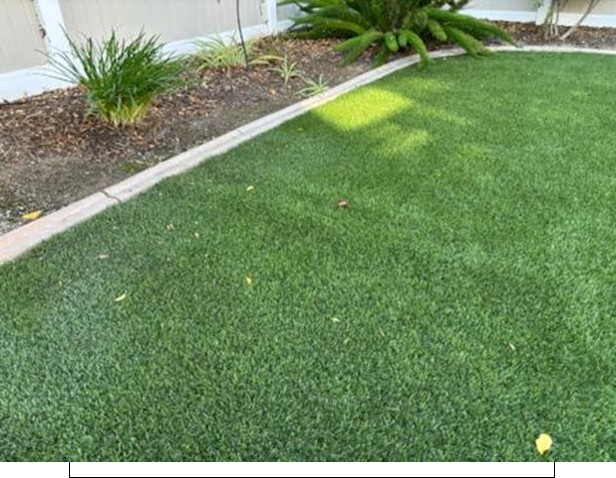 Roots Removal before Gallery, Inland Empire Artificial Grass Cleaning, & Repairs