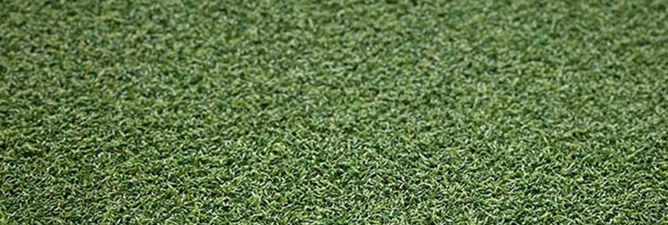 Xtreme Sports/Play Turf, Inland Empire Artificial Turf Cleaning